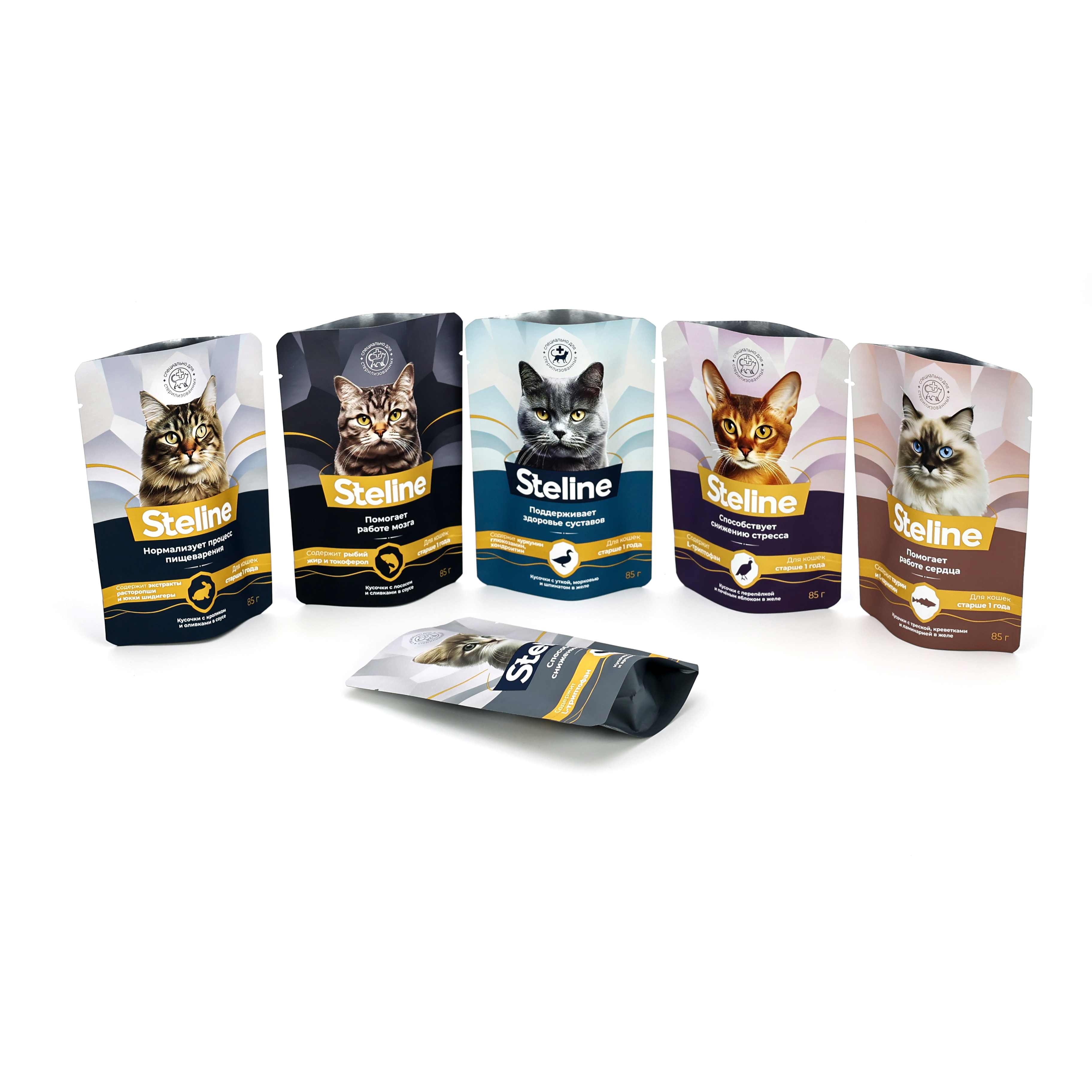 85g wet cat food bag